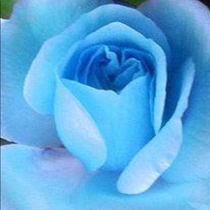 Meet your Posher, Tania